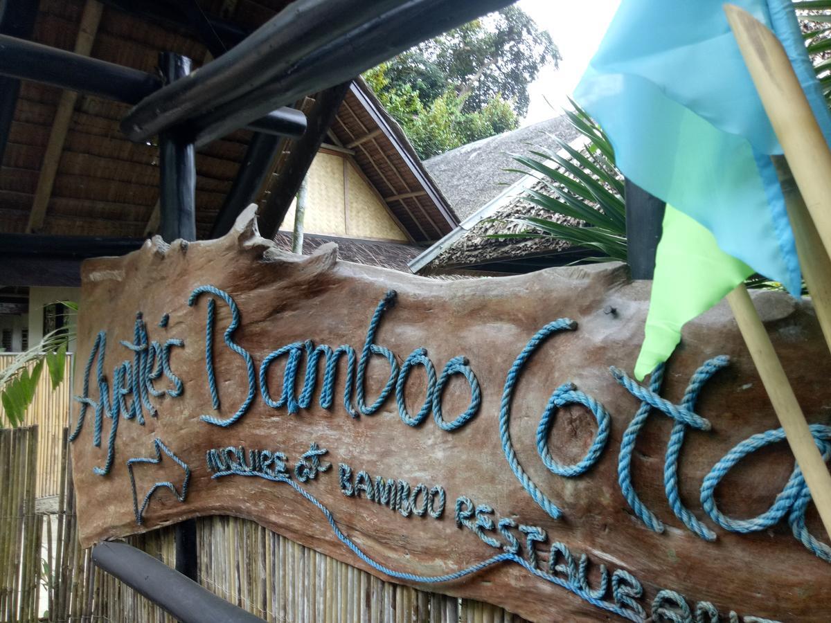 Ayette'S Bamboo House Restaurant And Cottages San Vicente (Palawan) Exterior foto